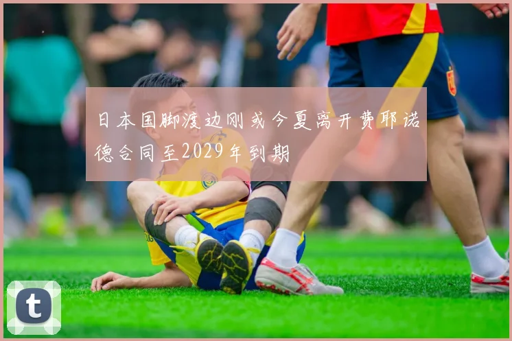 日本国脚渡边刚或今夏离开费耶诺德合同至2029年到期
