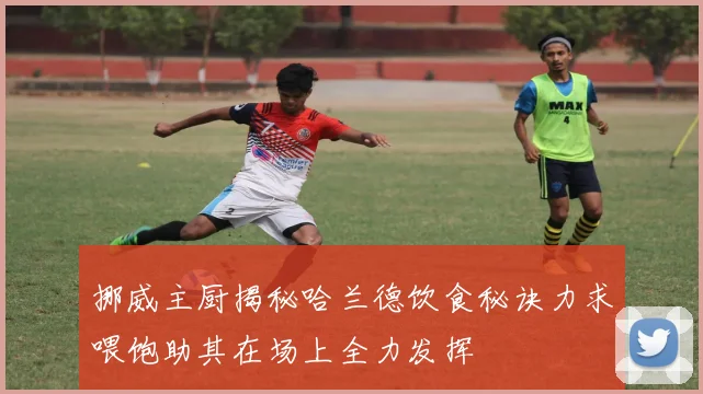 挪威主厨揭秘哈兰德饮食秘诀力求喂饱助其在场上全力发挥
